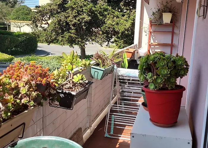 Au Centre Du Pradet Et à 15 Mn à Pied Des Plages