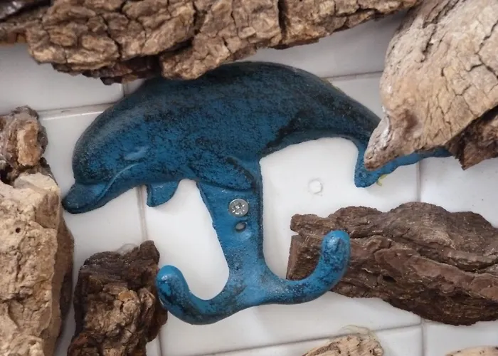 Au Centre Du Pradet Et à 15 Mn à Pied Des Plages Apartamento